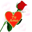 TE